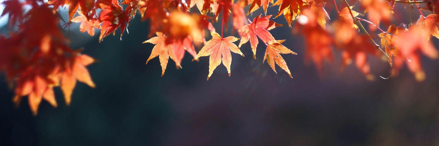 kanns89's profile banner image