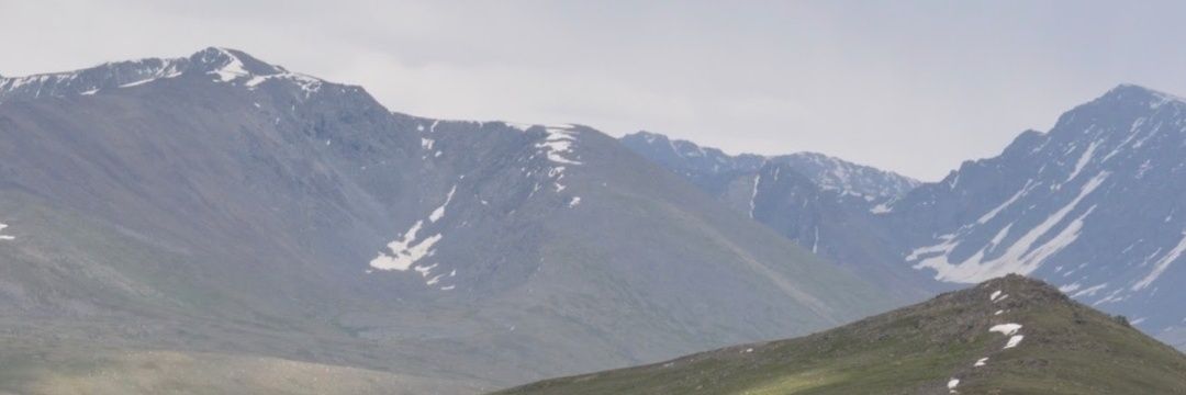devmujtaba's profile banner image