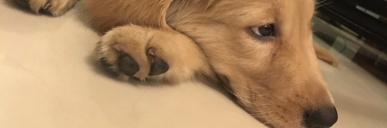 munleeornolee's profile banner image