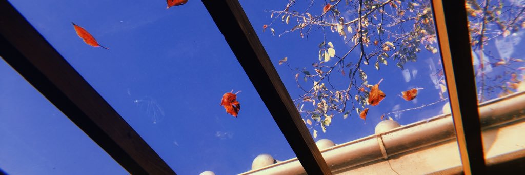 Navi1a07's profile banner image