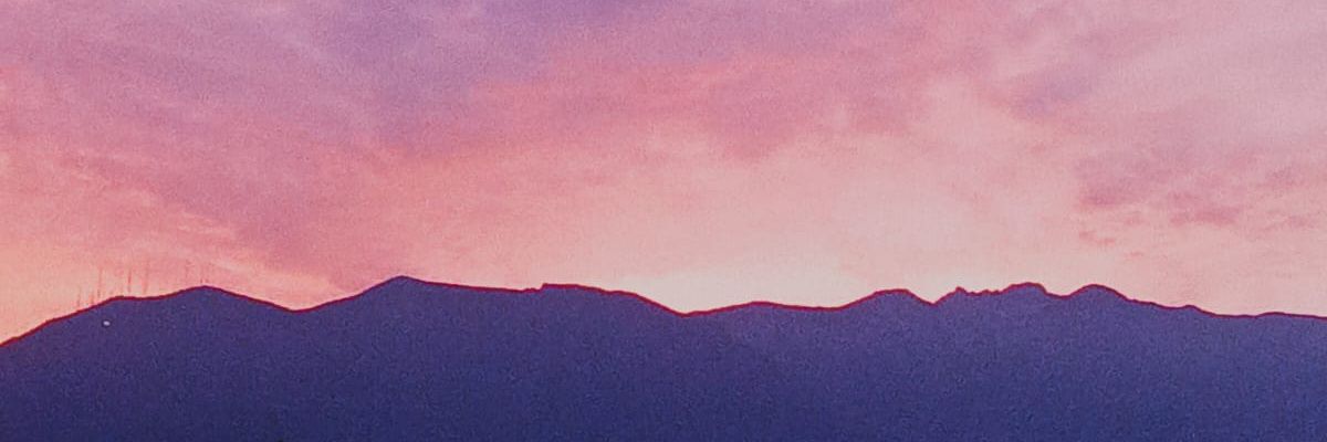 Eloø banner