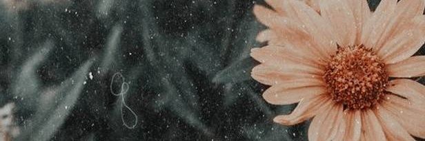danieljdmh's profile banner image