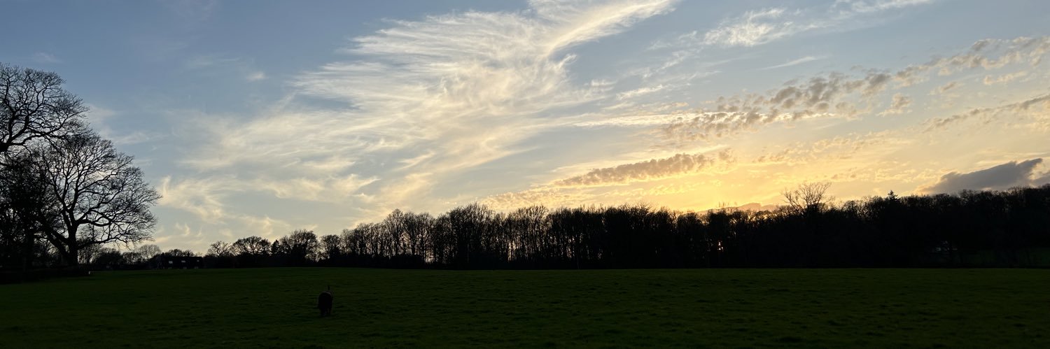 𝐂𝐚𝐧𝐝𝐲 𝐁𝐨𝐰𝐥𝐞𝐬 banner