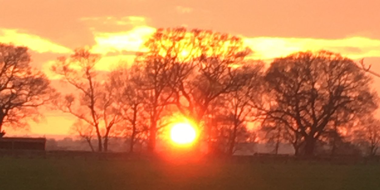 Peter Harrington banner