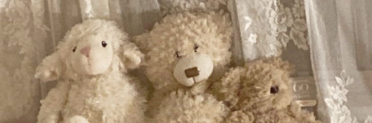 sun ✮⋆˙ banner