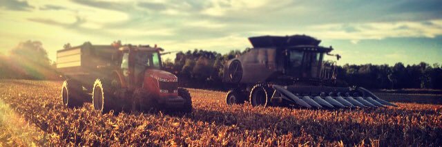 LLoverkamp's profile banner image