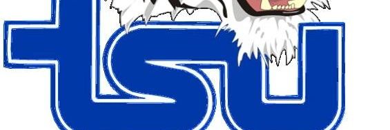 feeinnash's profile banner image