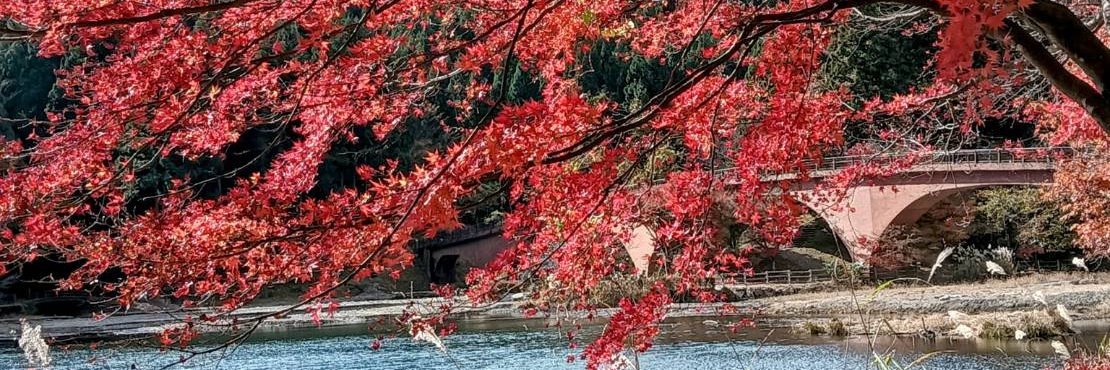 家庭連合一世おじさん信者 banner