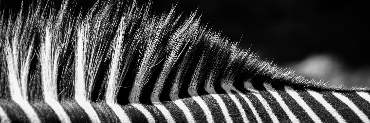 iamdraganagrbic's profile banner image