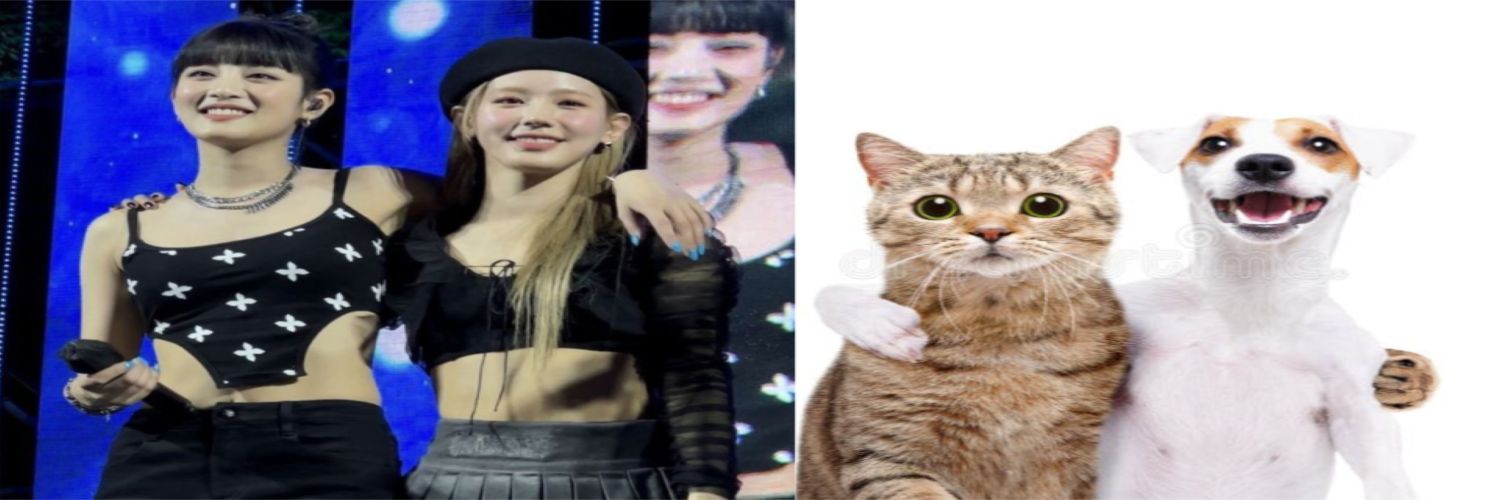 silly mimin's banner