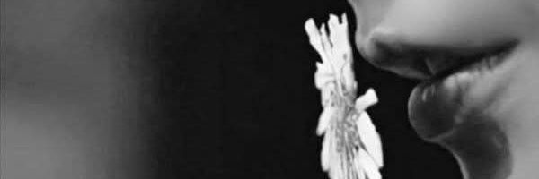 VdryVetho18482's profile banner image