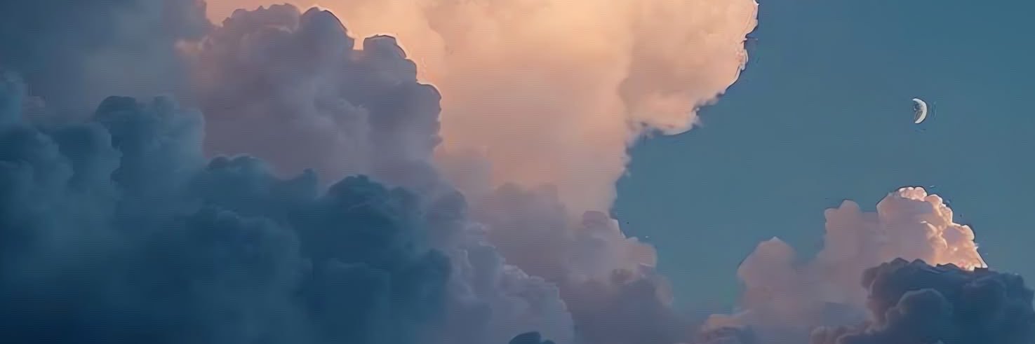 sasyaP2's profile banner image