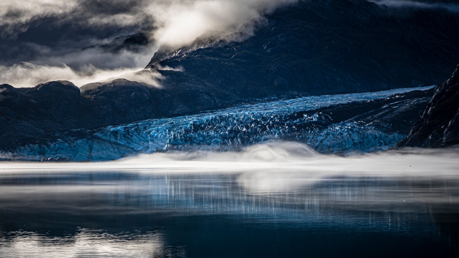 Broc Bellmore banner