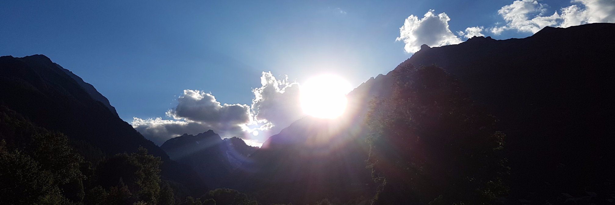 Topper Harley banner