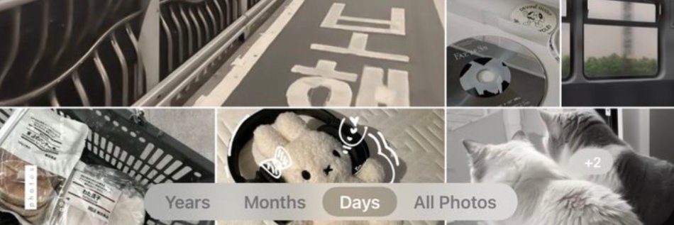 🚦 feifei ꔫ's banner