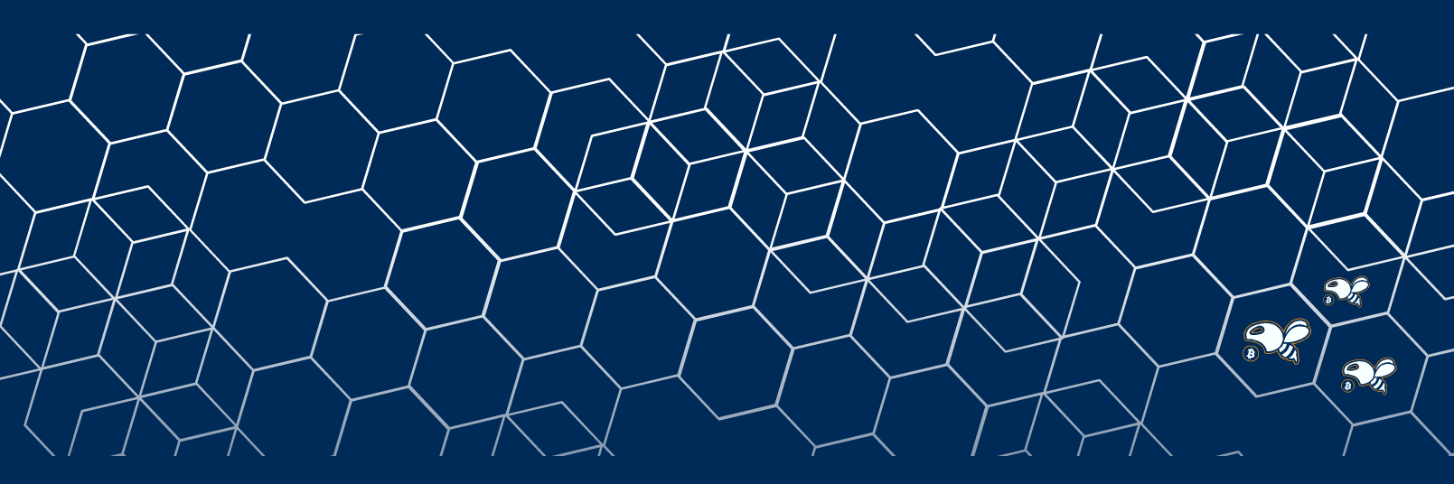 BsideBTC's profile banner image