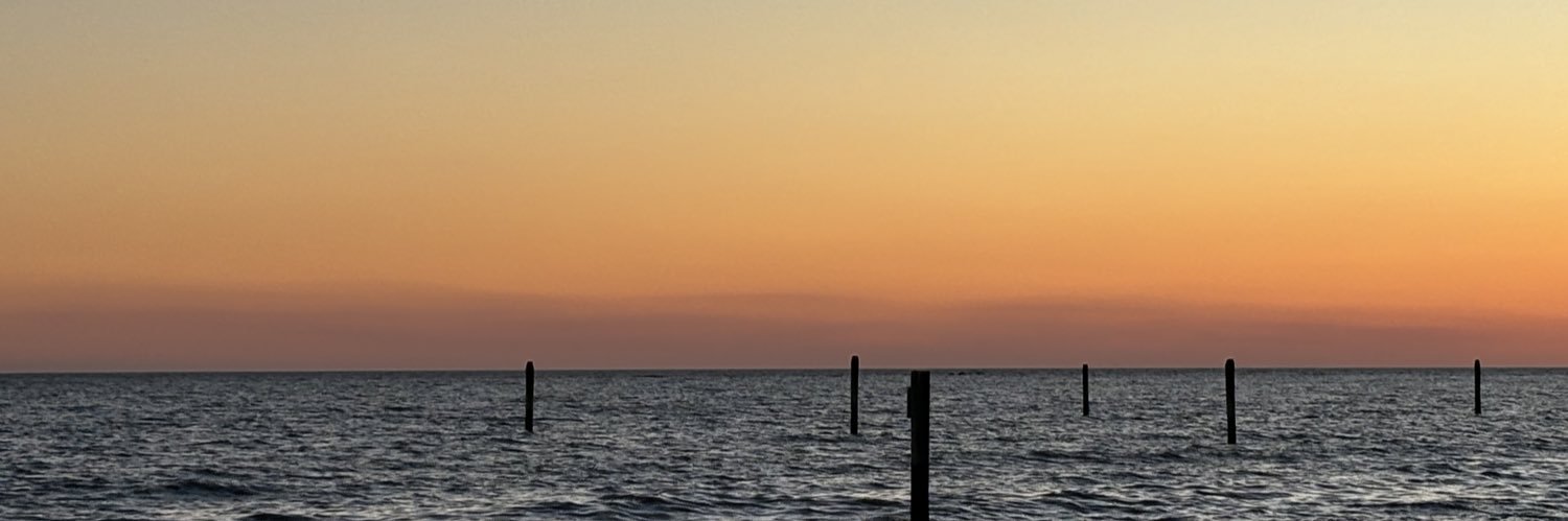 Realist11111's profile banner image