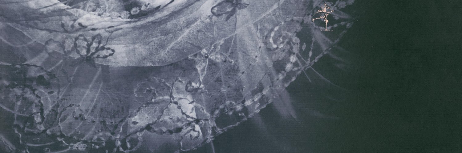 𝕡𝕒𝕣𝕒𝕔𝕙𝕦𝕥𝕖's banner
