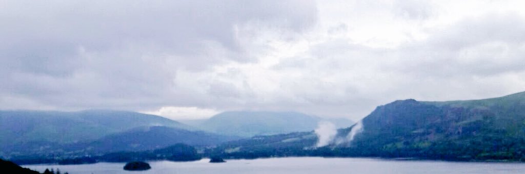 wigglethemouse banner