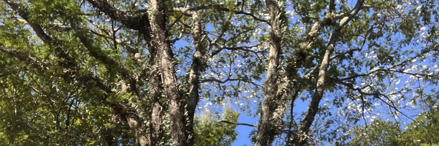 𝕲 𝖚 𝖎 banner