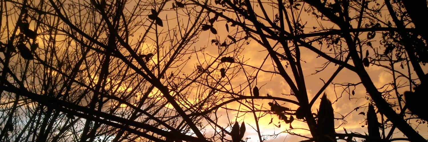 pepelis's profile banner image