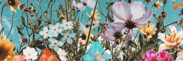 glenda_webb_ Profile Banner