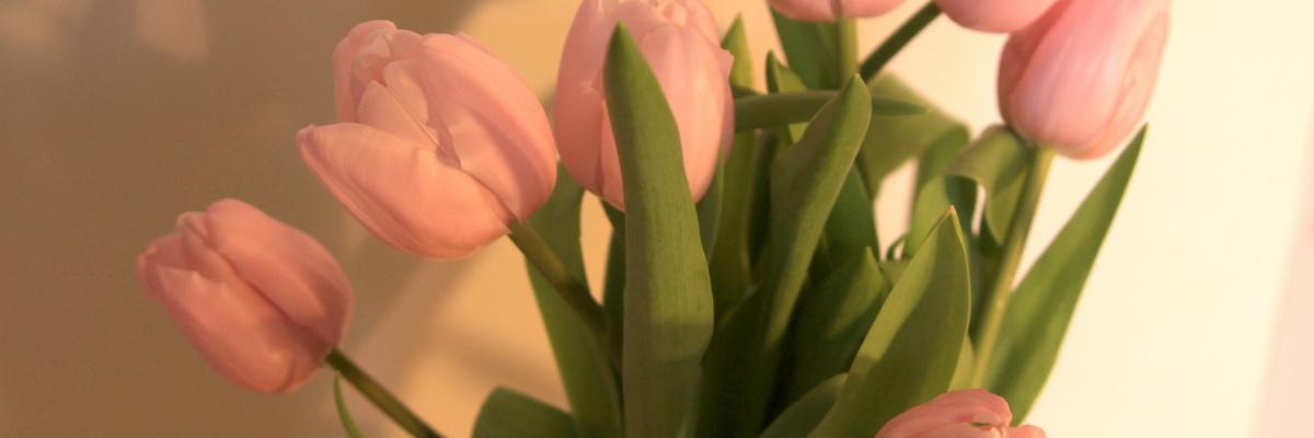 LARISA3007's profile banner image