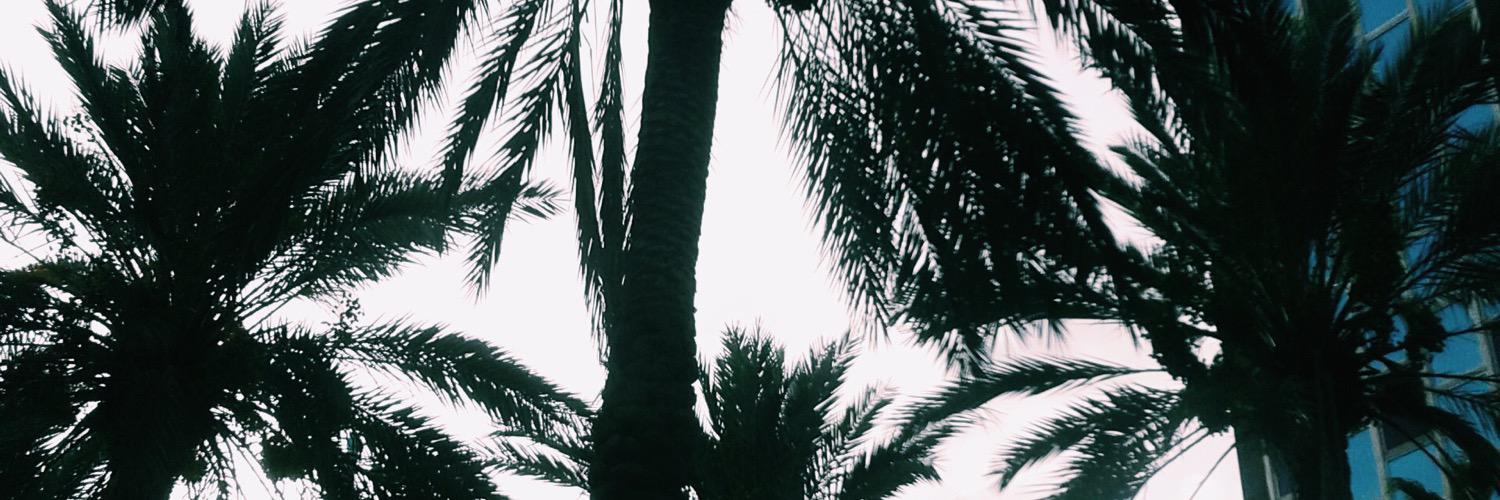 Martimonteroo's profile banner image