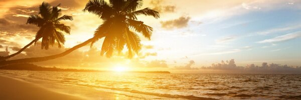 _nitij Profile Banner