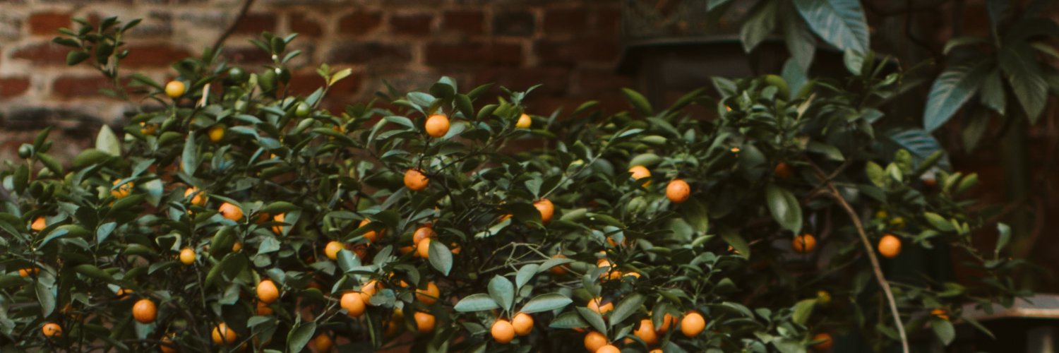 hdietsch's profile banner image