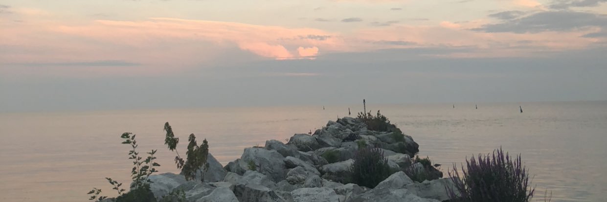 melinaweiler's profile banner image