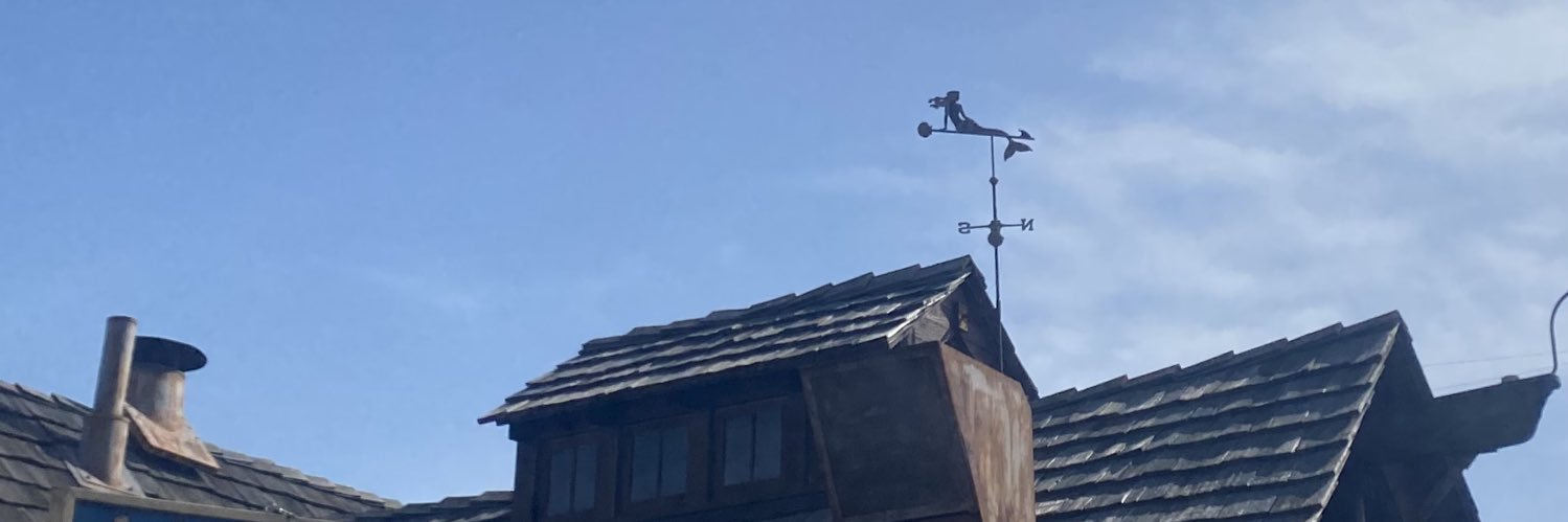 いかフライ banner