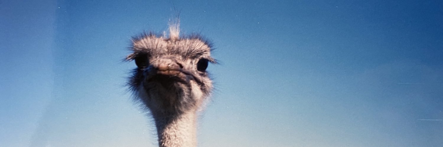 adunfield's profile banner image