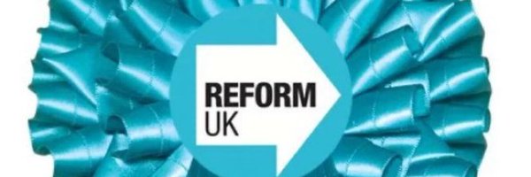 Starmist_ Profile Banner