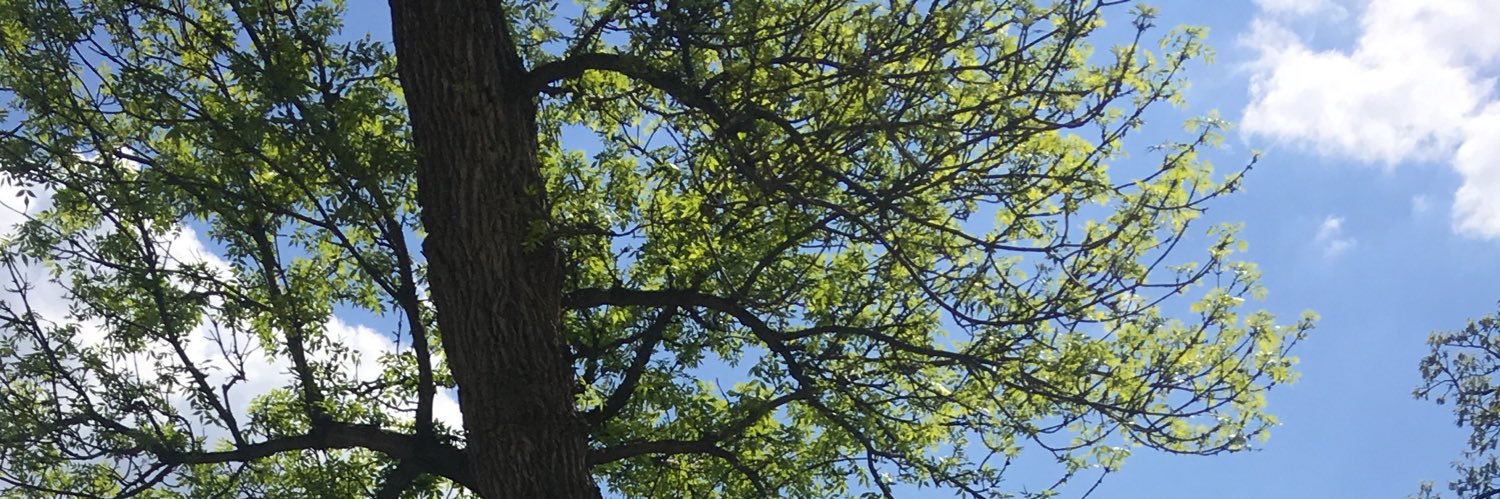 RewSel's profile banner image