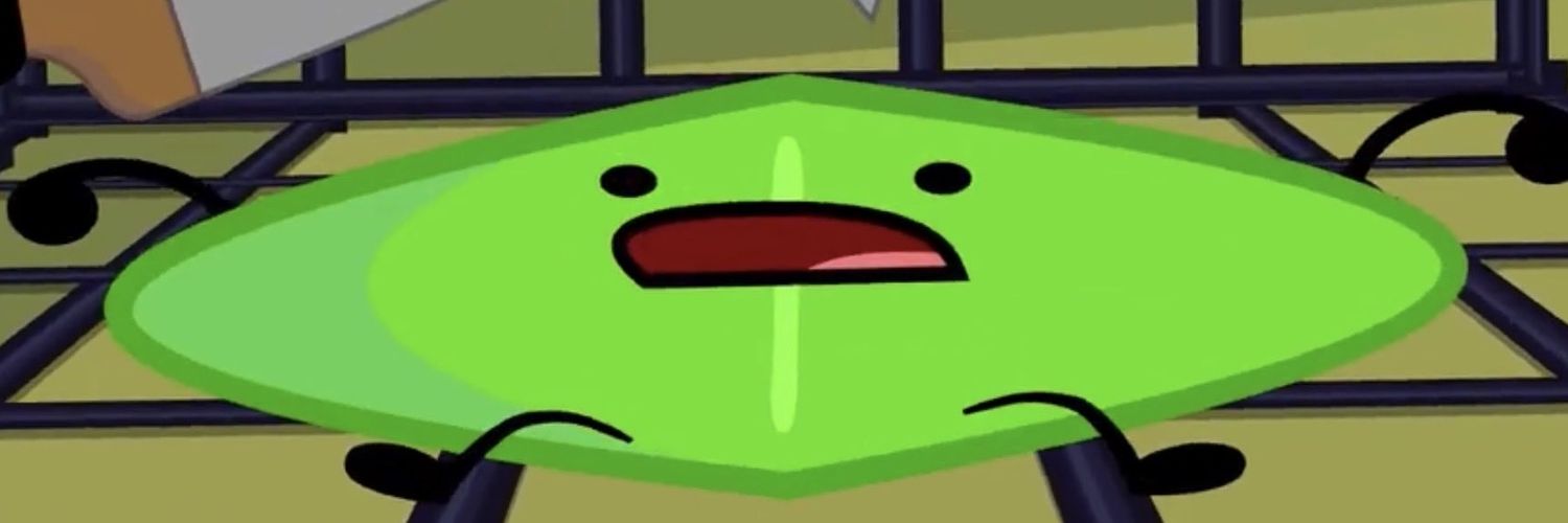 HE banner