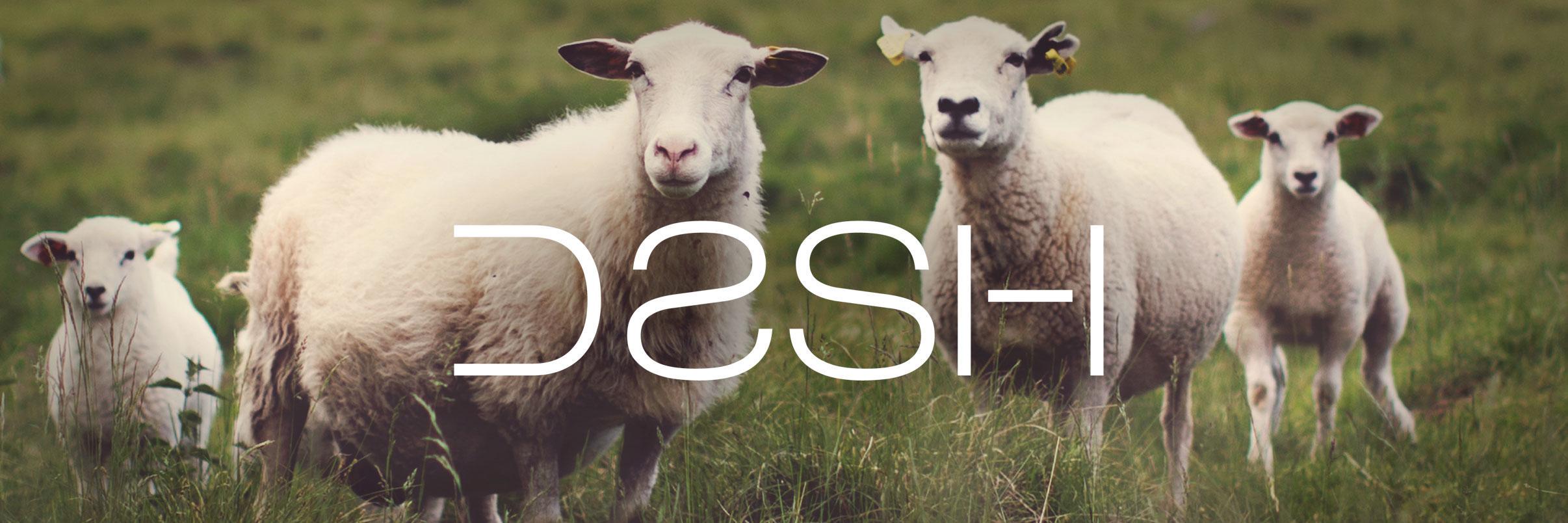 Dashtep's profile banner image