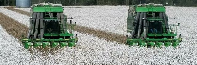 The Notorious H.Y.D.R.O. banner