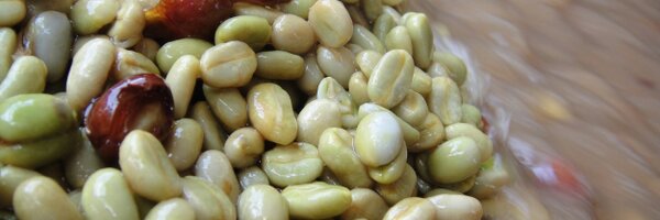 EspLabMicro Profile Banner