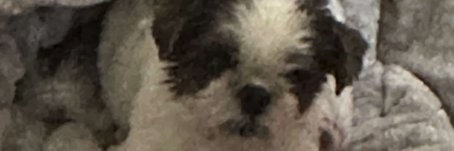 jo_lillu's profile banner image