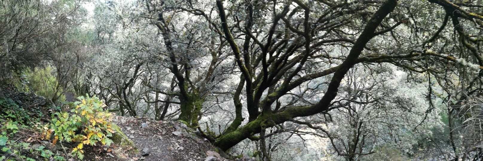 ORUTRAPERTIERRA's profile banner image