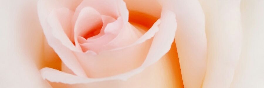 Antito_TSilva's profile banner image