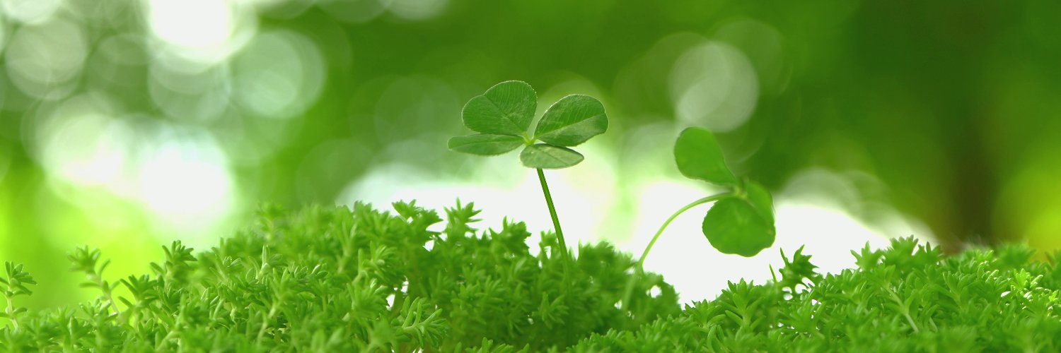 CLOVERS Inc. | クローバーズ🍀's banner