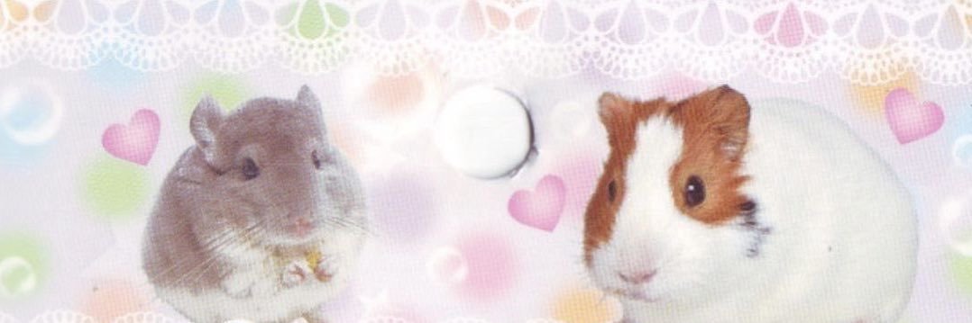 𝑬𝒙𝒄𝒆𝒍𝒍𝒆𝒏𝒕… banner