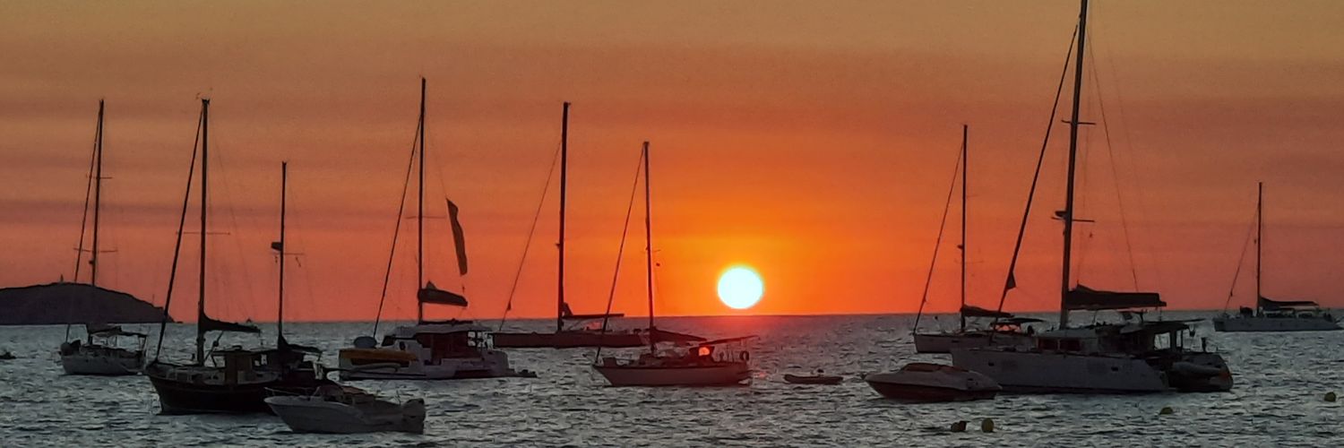 Rosalind Thompson 🇮🇪🇪🇺 banner