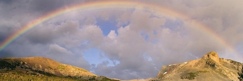 fMonteleon's profile banner image