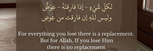 Dr Safoora Syed banner