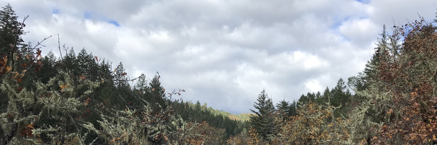 Protestant Nightcrawler banner