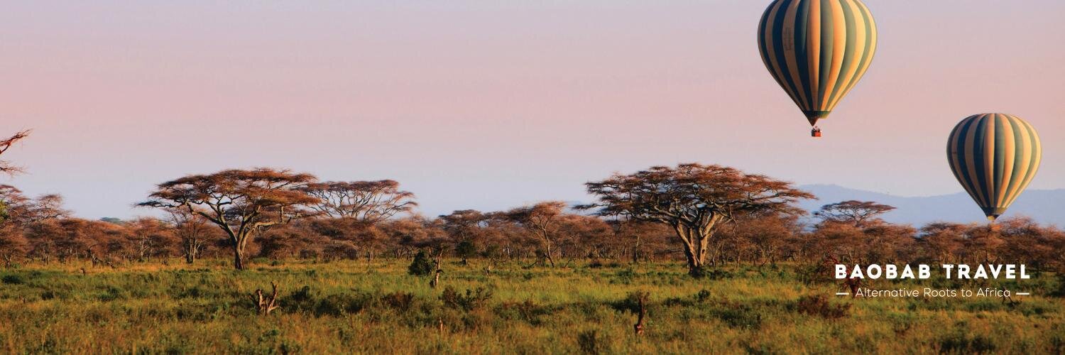 BaobabTravel's profile banner image