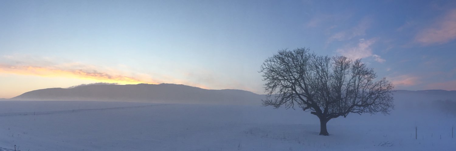 carlescanto's profile banner image